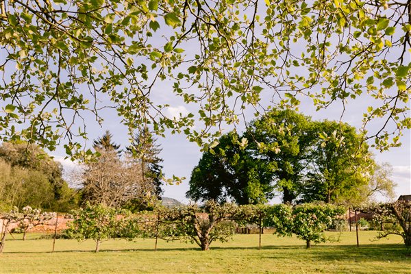 Cadhay walled garden